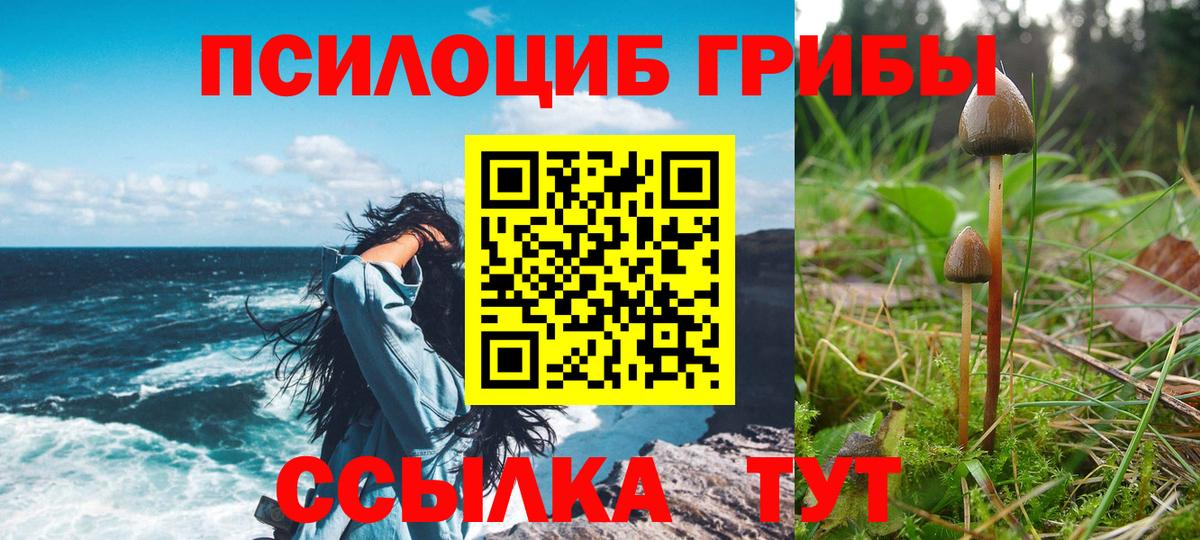 Псилоцибиновые грибы Psilocybine cubensis  Галлюциногенные грибы Psilocybine cubensis  Вход с VPN  Ступино 