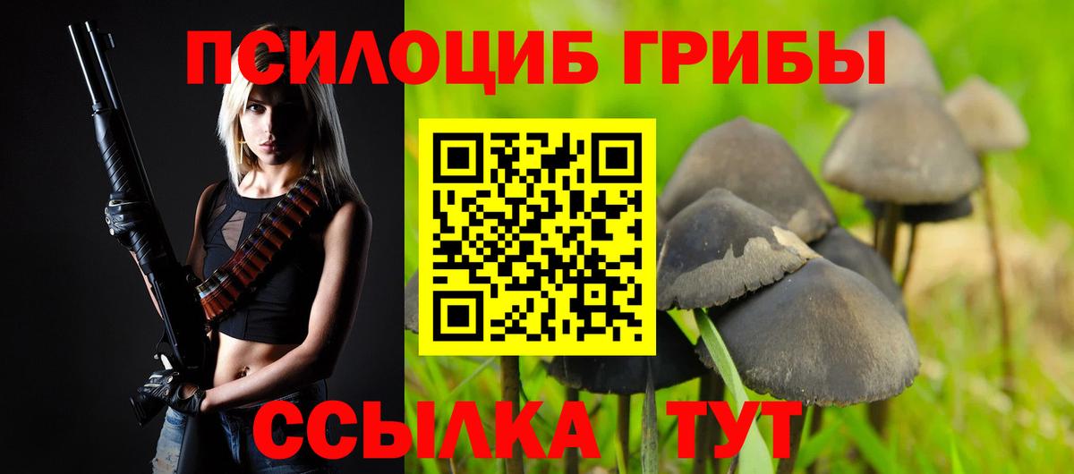 Псилоцибиновые грибы Psilocybine cubensis Ступино