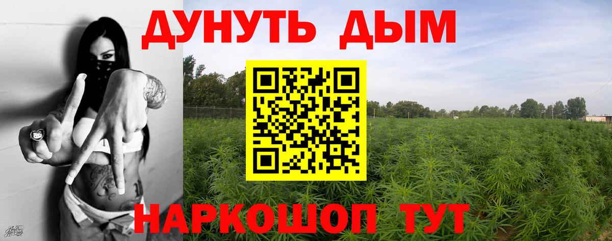 МАРИХУАНА план  Вход с VPN  Канабис Amnesia  МАРИХУАНА ГИДРОПОН  Ступино 